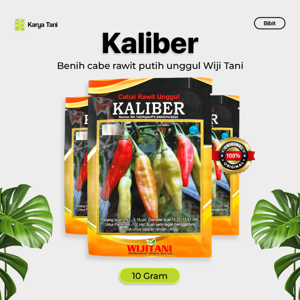 Benih Cabe Rawit Kaliber 10 gram Cabe Rawit Putih Unggul Kaliber
