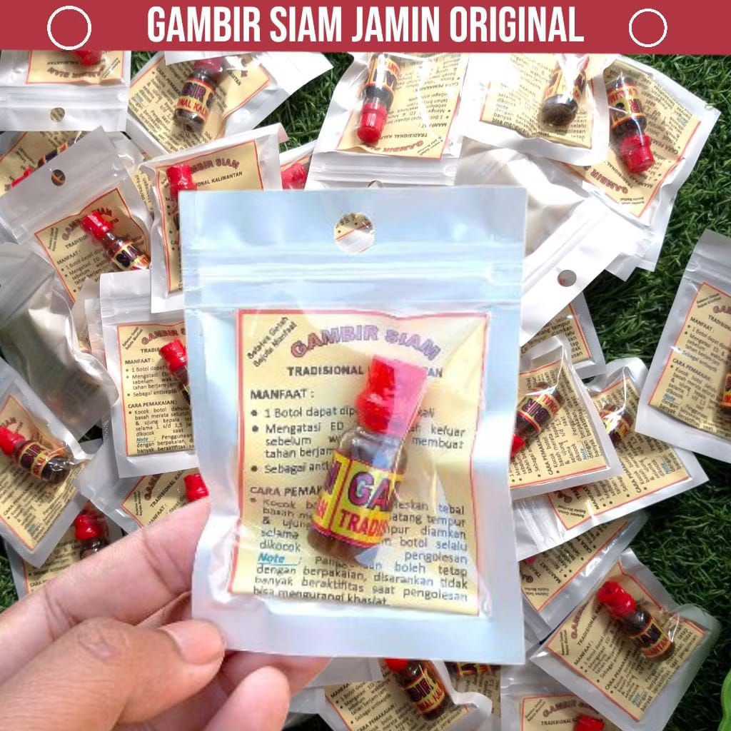 Gambir Siam Asli Kalimantan