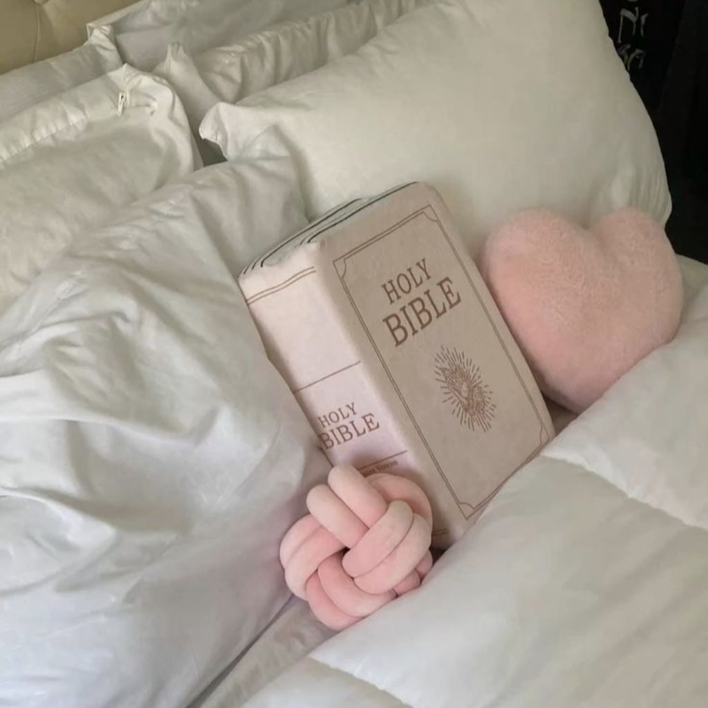 Bible Pillow / Bantal Alkitab / Boneka Alkitab / Hadiah Rohani Kristen / Christian Gift