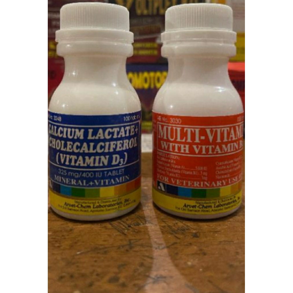 Multivitamin b12 dan CALCIUM LACTATE vitamin ayam aduan laga sepaket