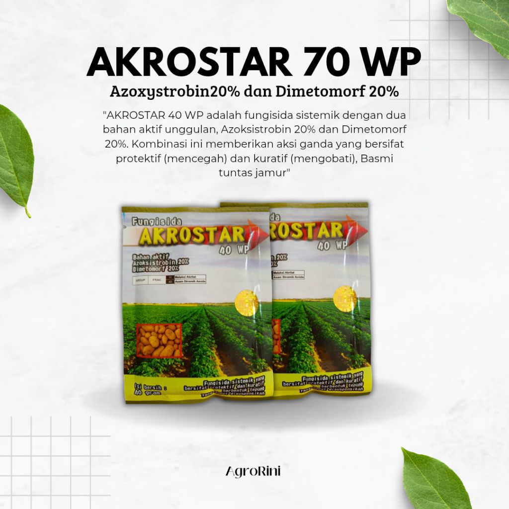 Fungisida Sistemik AKROSTAR 70WP Atasi Bercak dan Patek