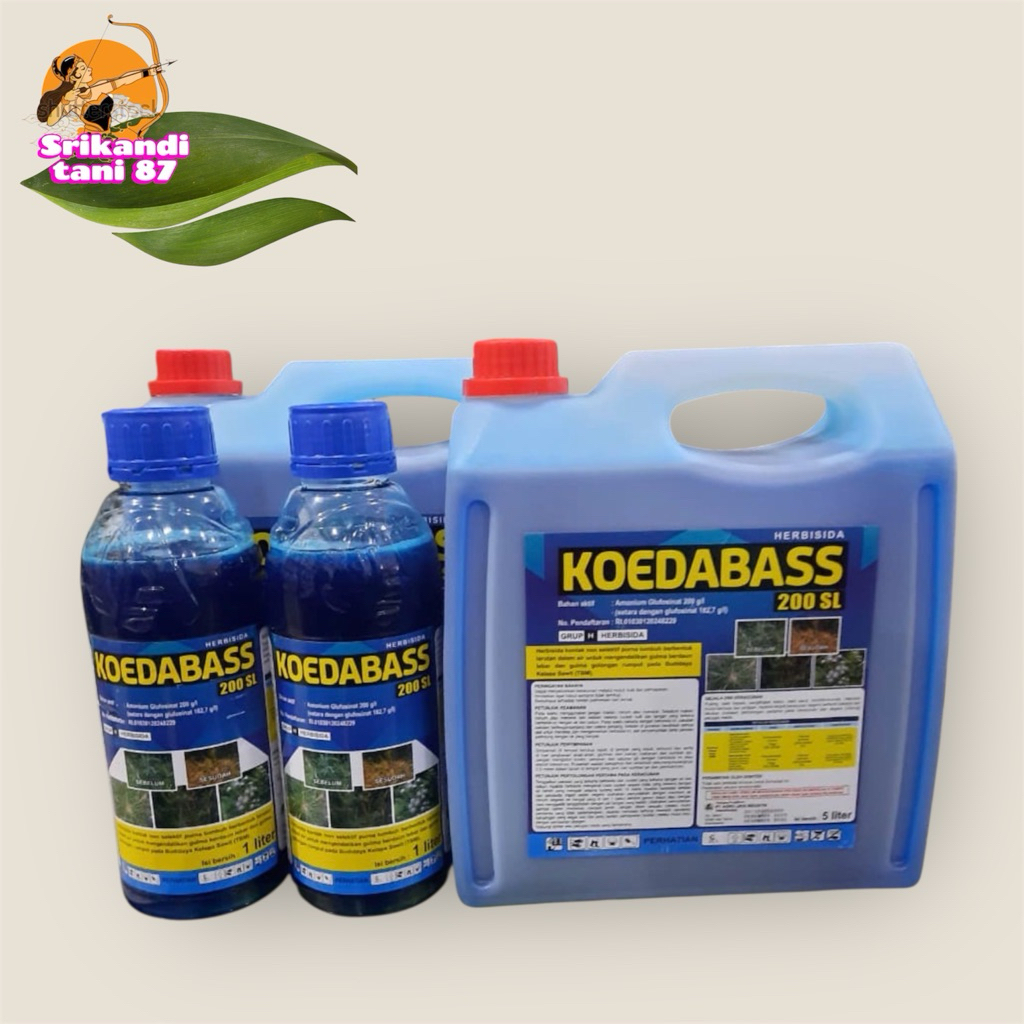 Herbisida Murah KOEDABASS 200 SL Membasmi Rumput Lulangan, Grinting, Teki, Sambau, Kawatan