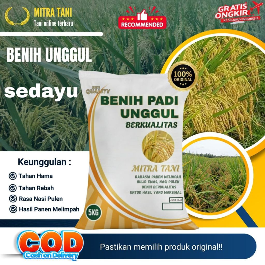 Bibit Padi SEDAYU Kemasan,5-kg
