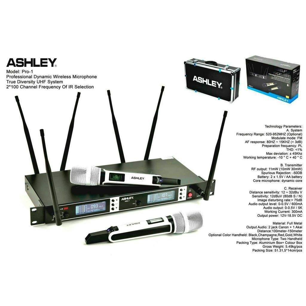 Professional Wireless Microphone ASHLEY PRO-1