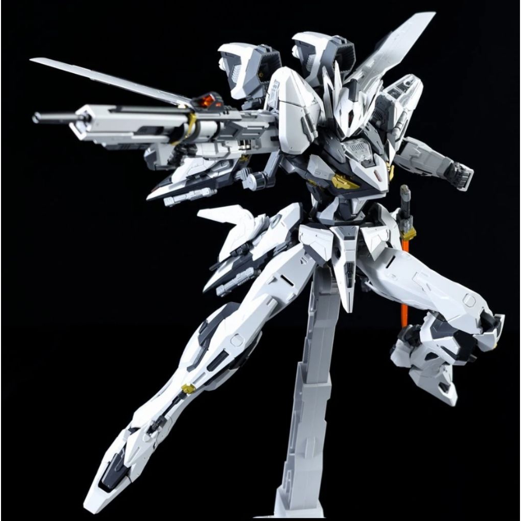 TEST-70 Armored Colossus Bailu (Air Combat Custom) 1/100 by Robox Animation