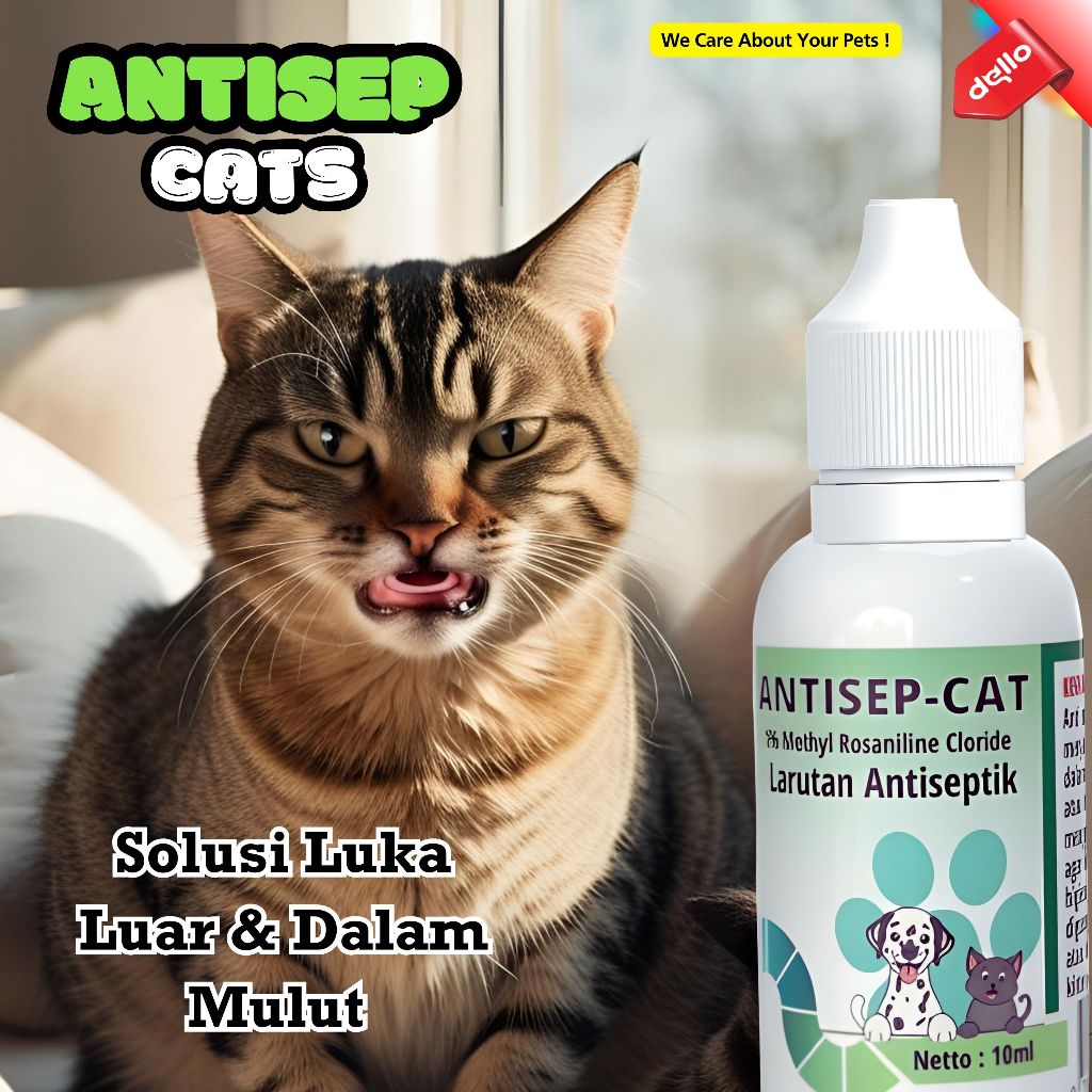 Obat antiseptik solusi mengatasi luka luar dalam mulut kucing anjing cairan ANTISEP CAT DELLO