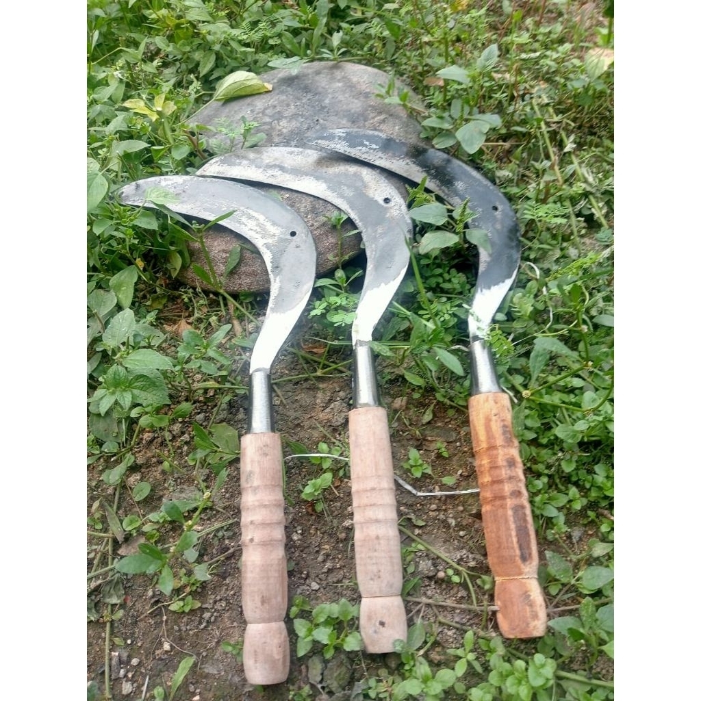 alat berkebun sabit rumput bahan berkualitas