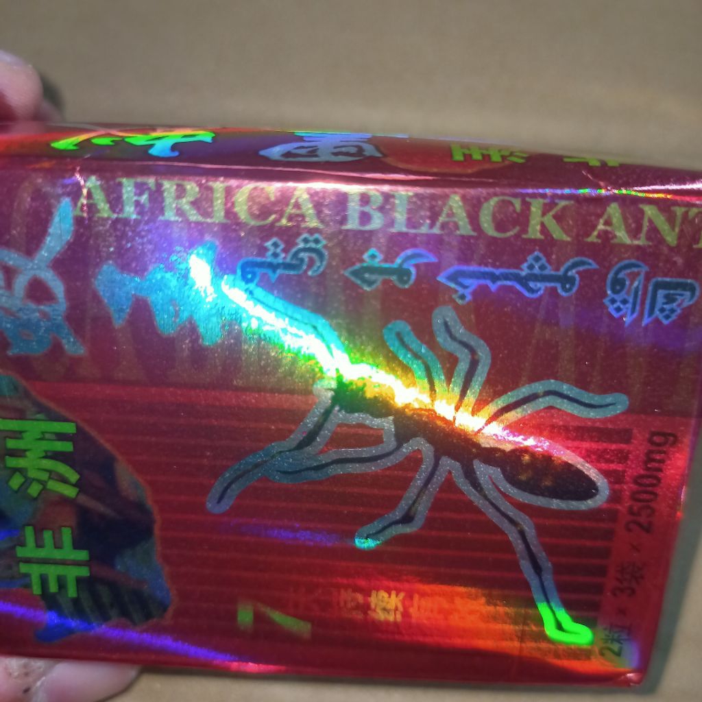 gambar semut hitam africa black ant original, untuk menambah durasi saat berhubungan