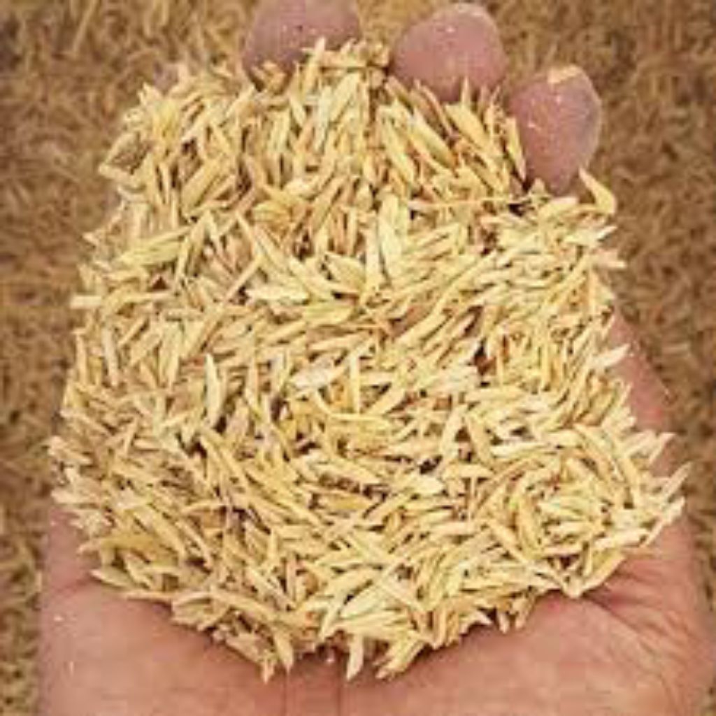 Sekam Padi / Kulit Padi / Merang / Huut 1 Karung Ukuran 50 Kg