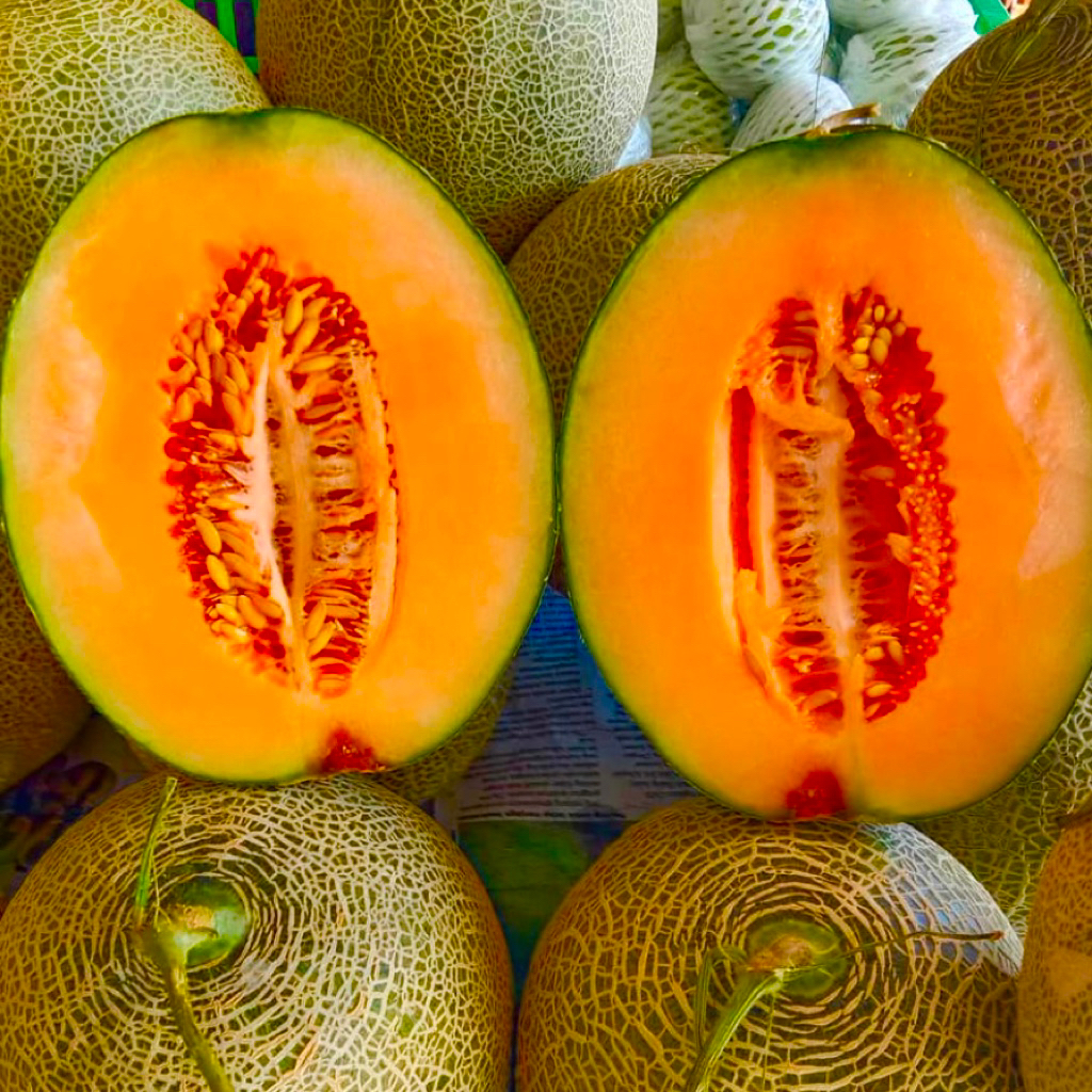 Melon Rock Orange| Melon Orange 1Buah