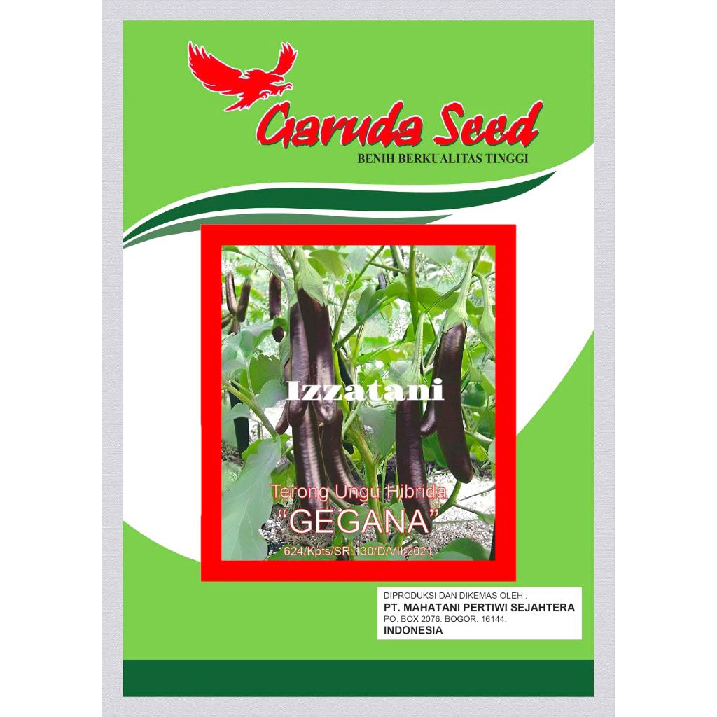 Benih Terong Ungu Hibrida GEGANA Isi 1250 Biji Benih Terong Ungu Panjang Bibit Terong Benih Terong