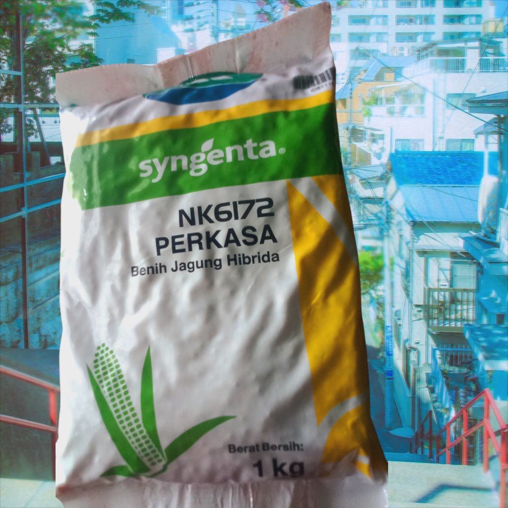 Nk Perkasa 6172  original 100%
