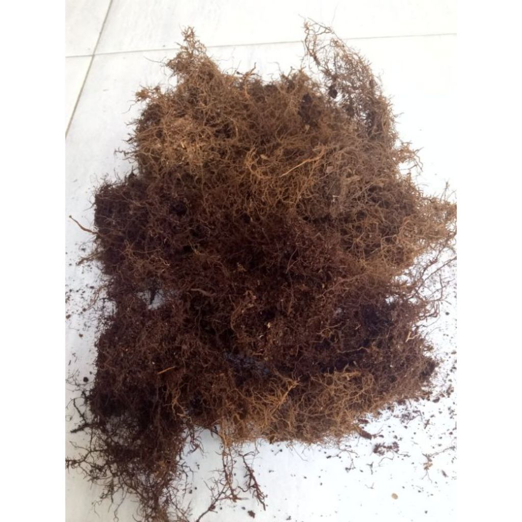 Media Tanam Mos Hitam Akar Kadaka Kemasan Plastik 1kg