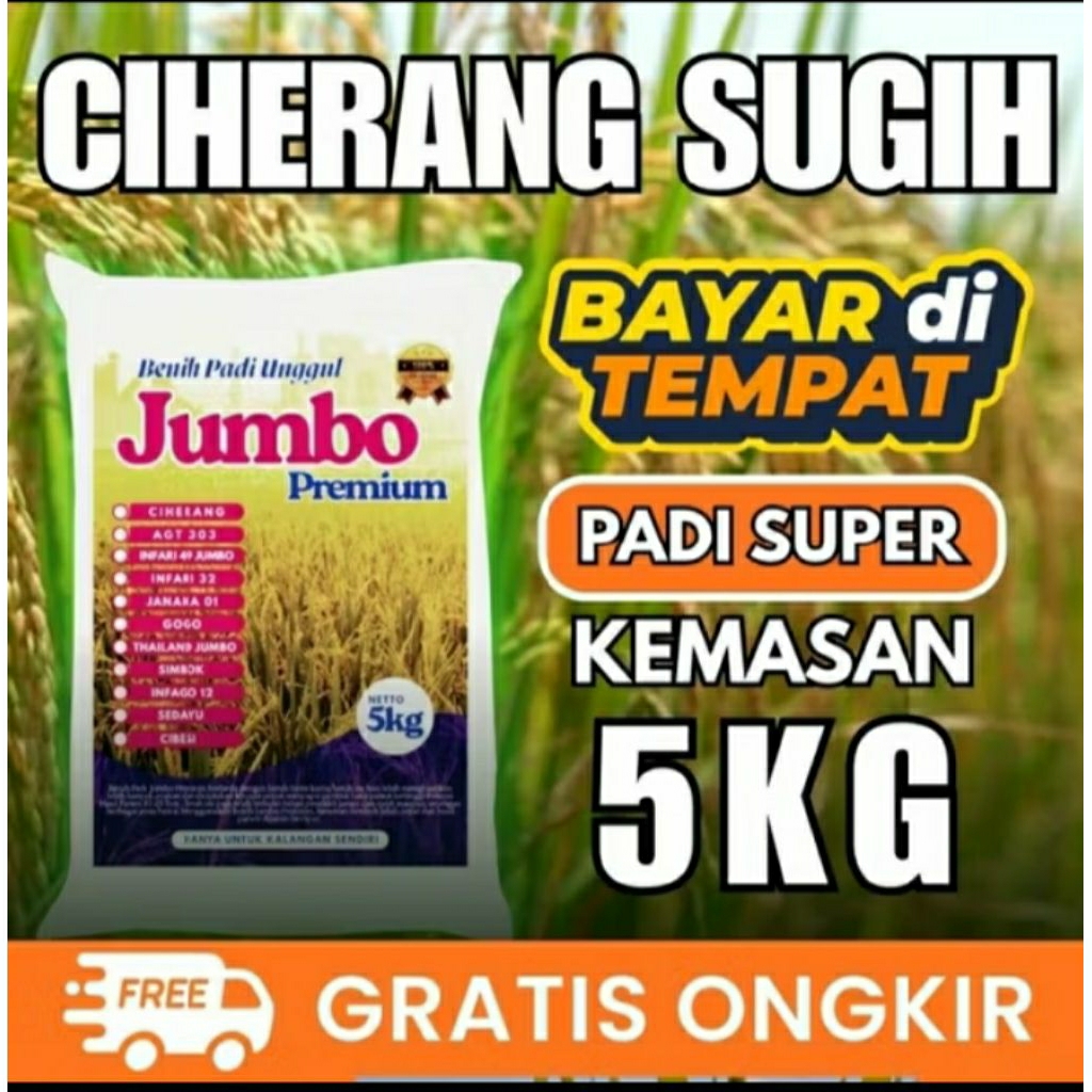 BENIH PADI CIHERANG SUGIH
