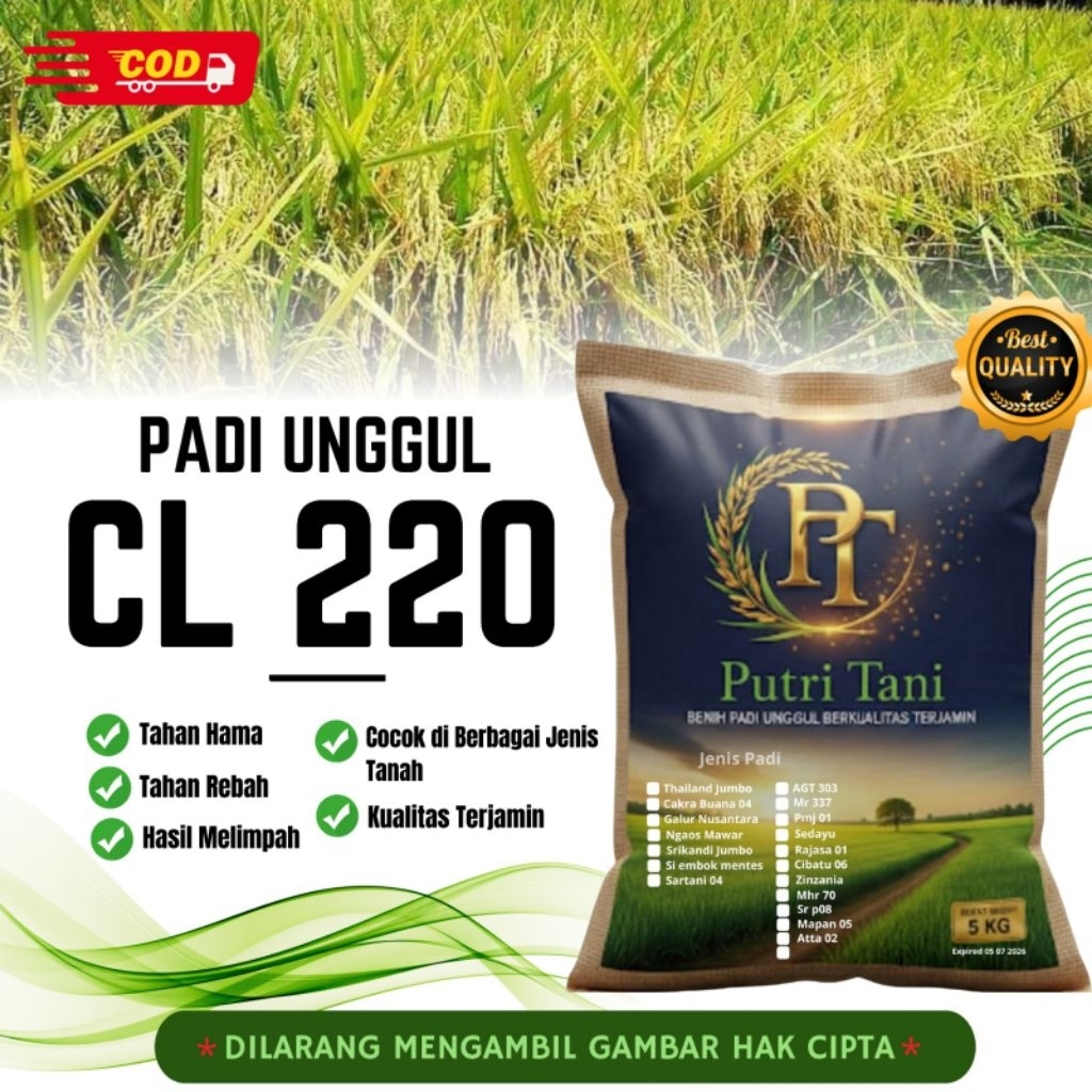 BIBIT PADI CL 220 KEMASAN 5KG
