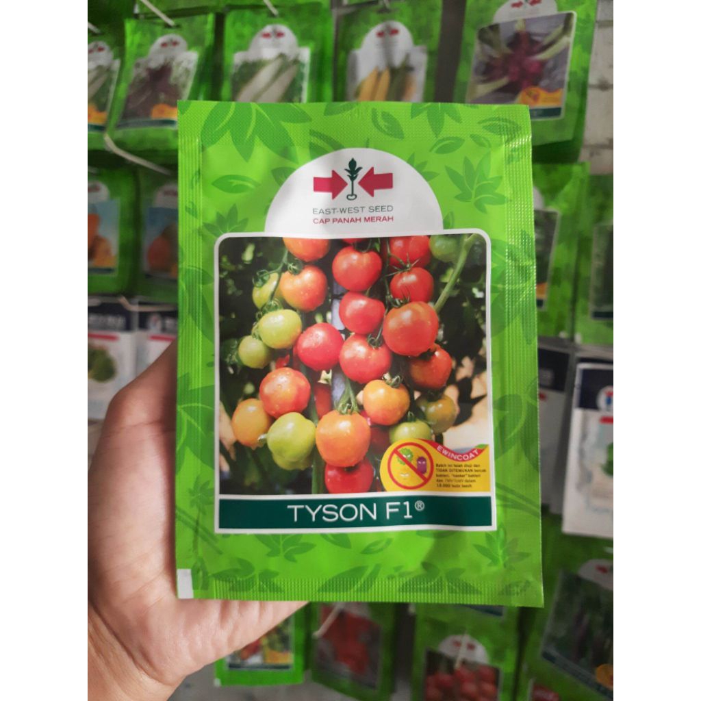 BENIH TOMAT TYSON F1 1750 BUTIR 10 GRAM