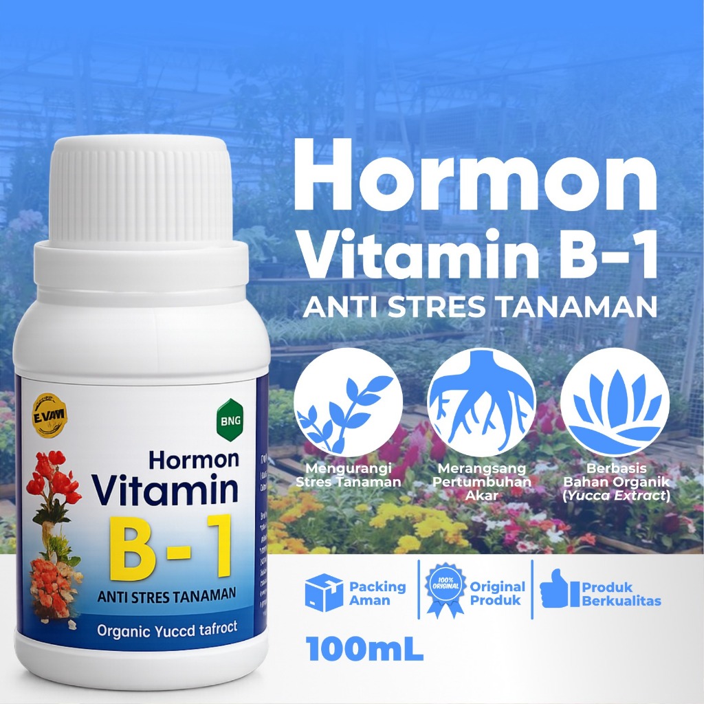 HORMON VITAMIN B-1  Anti Stres Tanaman | Perangsang Akar