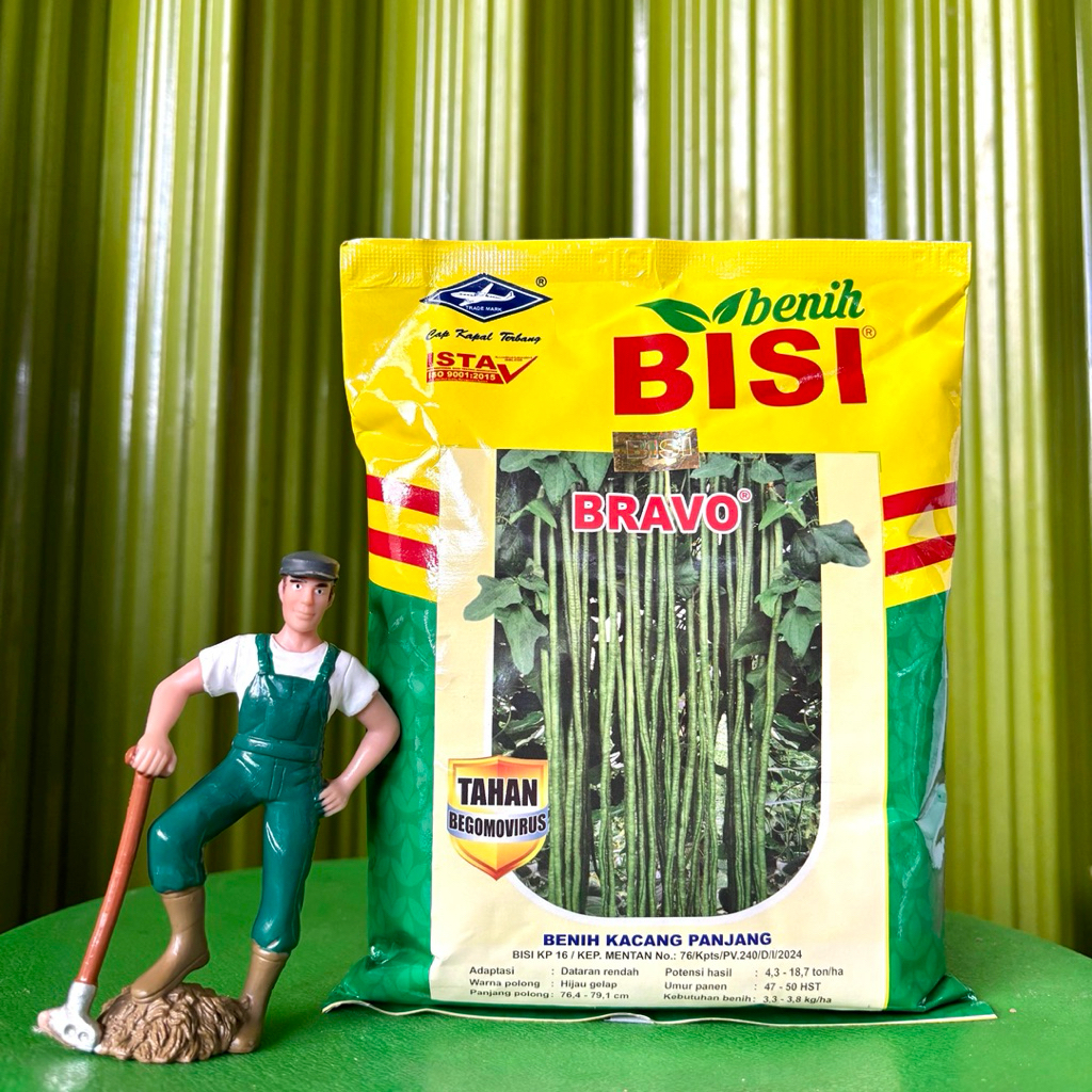 Benih Kacang Panjang BRAVO Kemasan 500 Gram Cap Kapal Terbang