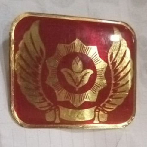 pin tanda baret dan topi hw pandu pengenal