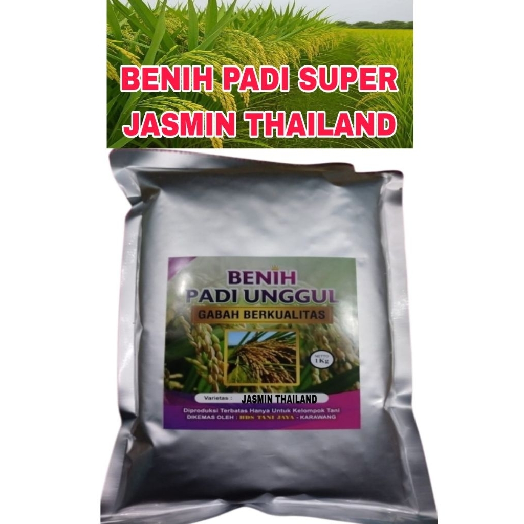 BENIH PADI 1KG JASMIND THAILAND ORIGINAL LABEL PUTIH