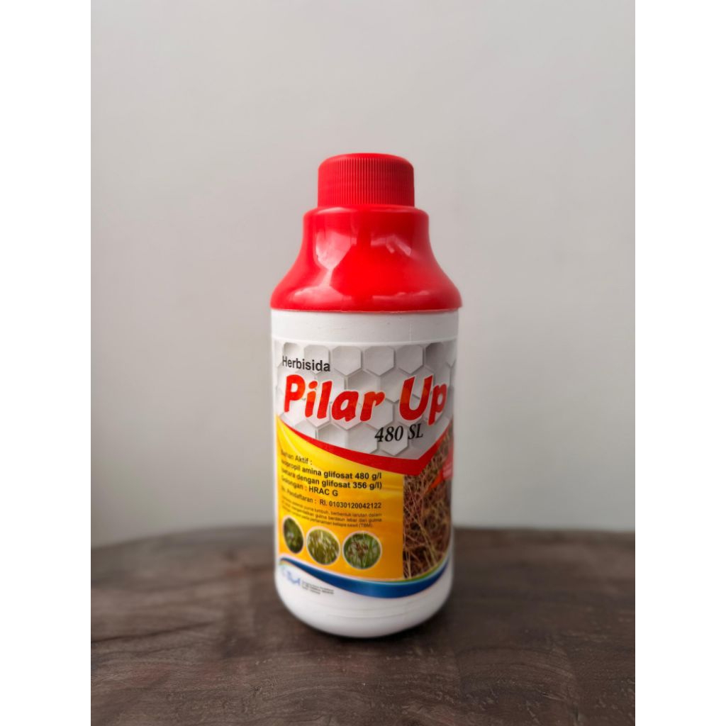 PILAR UP