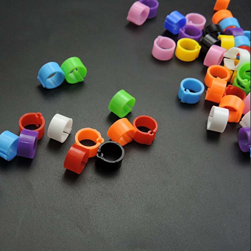 RING KAKI AYAM BEBEK BURUNG RING KAKI UNGGAS