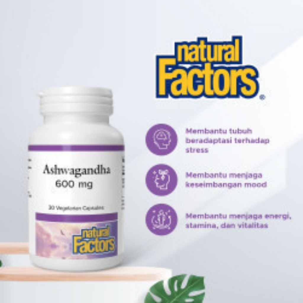 NATURAL  FACTORS ASWAGANDA