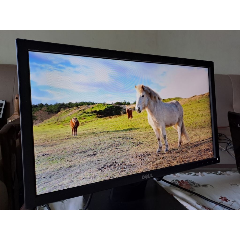 Dell Layar LCD komputer  19 inc