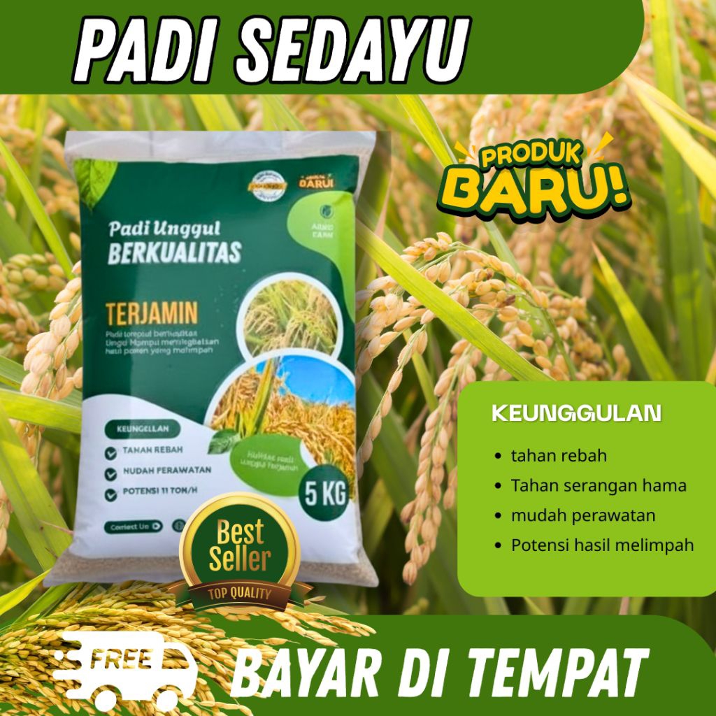 Benih padi SEDAYU kemasan 5 kg