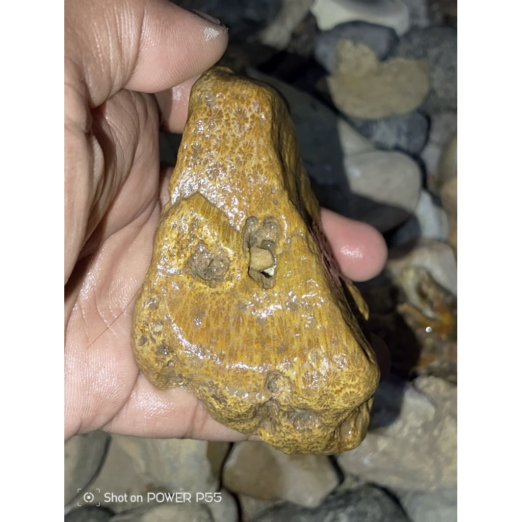 batu teratai combong batu bertapa unik seperti kaki