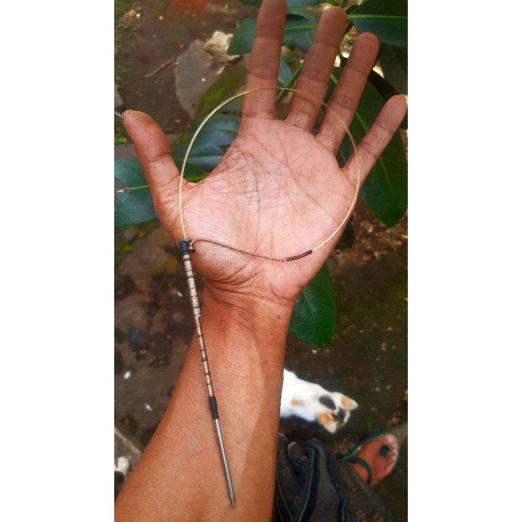 RACIK TABUR AYAM HUTAN