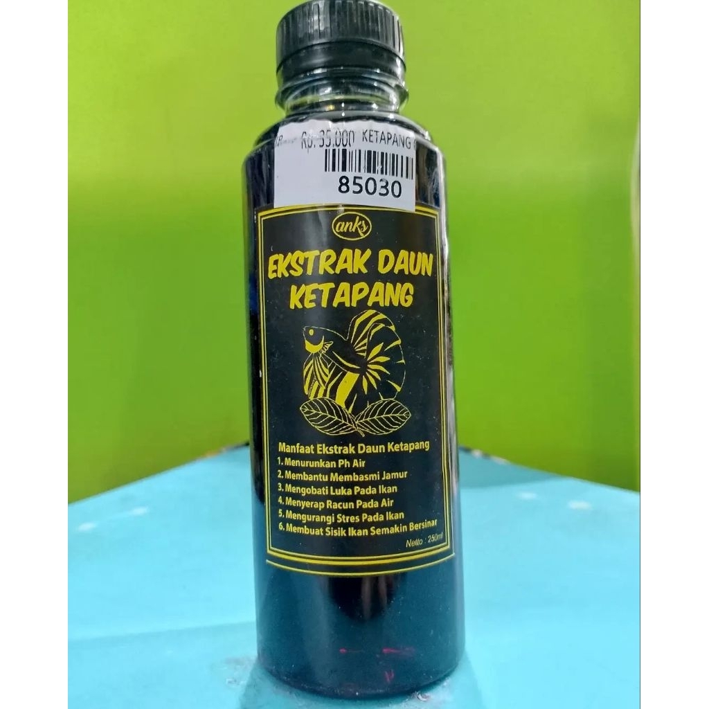 obat kuat jamur