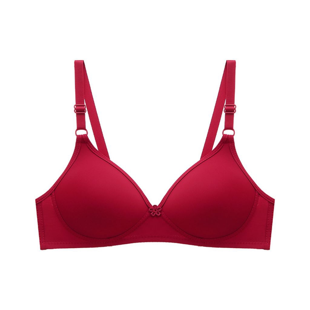 GROSIR Pakaian Dalam Wanita / Bh / Bra Pakaian Dalam Wanita Cocok Buat Para Wanita Aktif