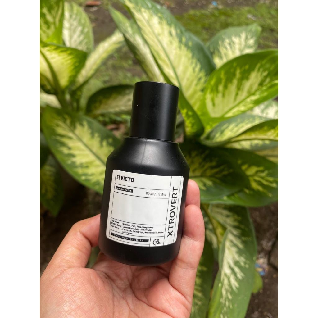 Parfum Elvicto Xtrovert