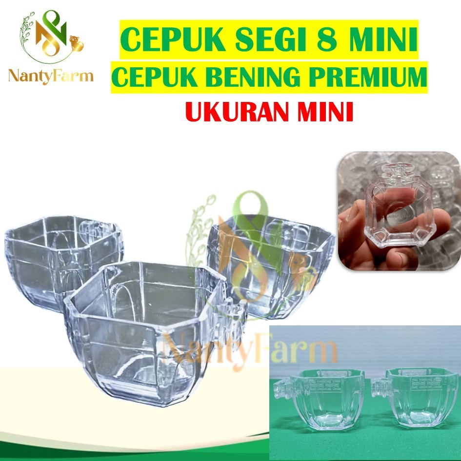 Cepuk Sedang Segi 8 Bening Mika Cepuk Burung Murai Kacer Kenari Lovebird
