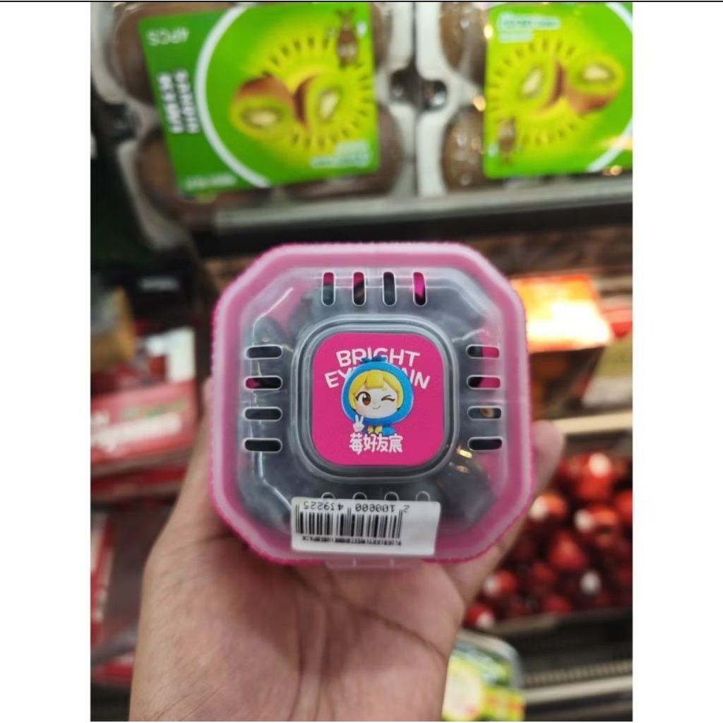 buah blueberry shinkansen pink buah blueberry import super fresh 1 cup