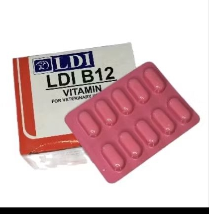 Ldi b12 vitamin stamina dan agresif