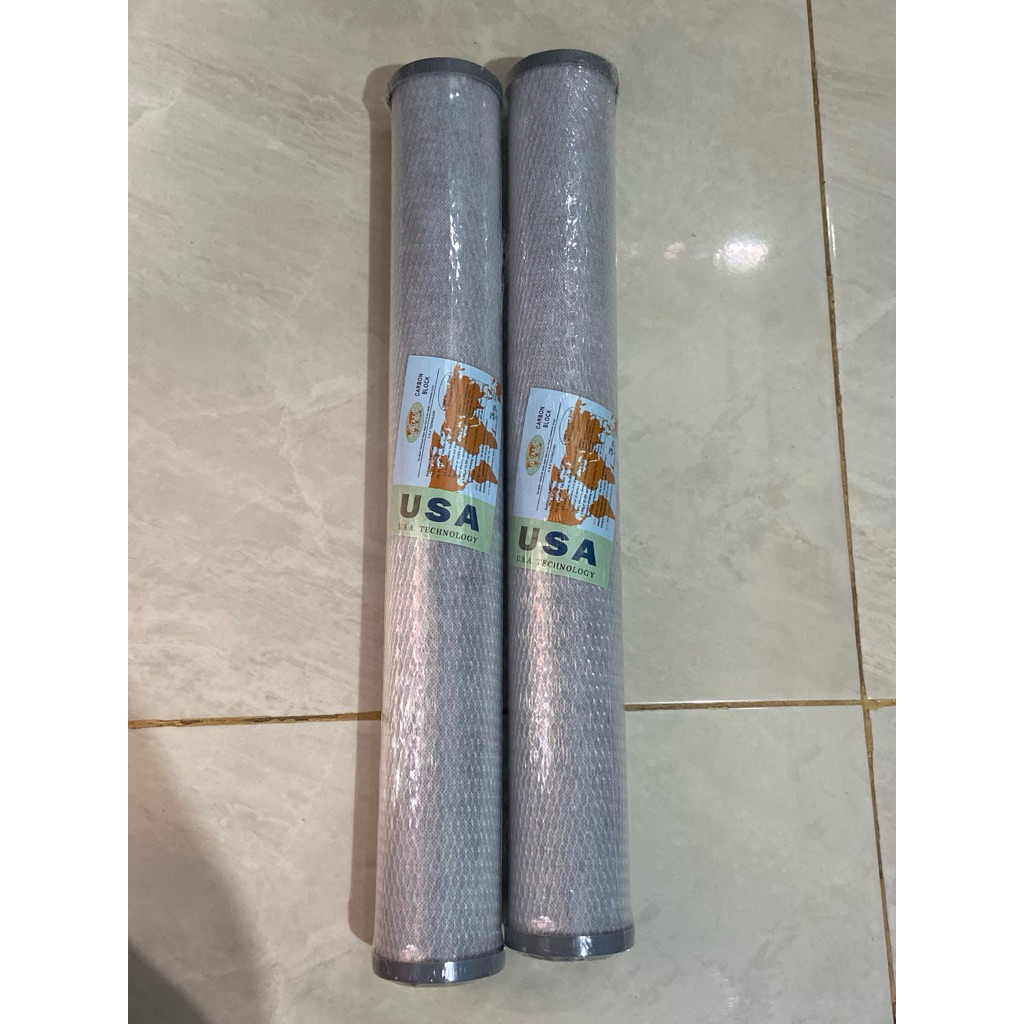 Filter Air CTO 20 inch