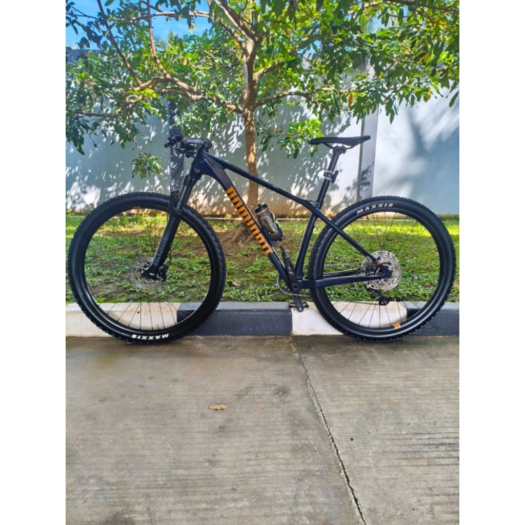 Sepeda dominate comp carbon 29er
