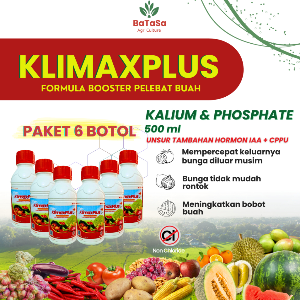 PAKET 6 BOTOL 500 ml KlimaxPlus Kalium Pospat Hormon IAA dan CPPU Pupuk Bunga Cepat 500ml