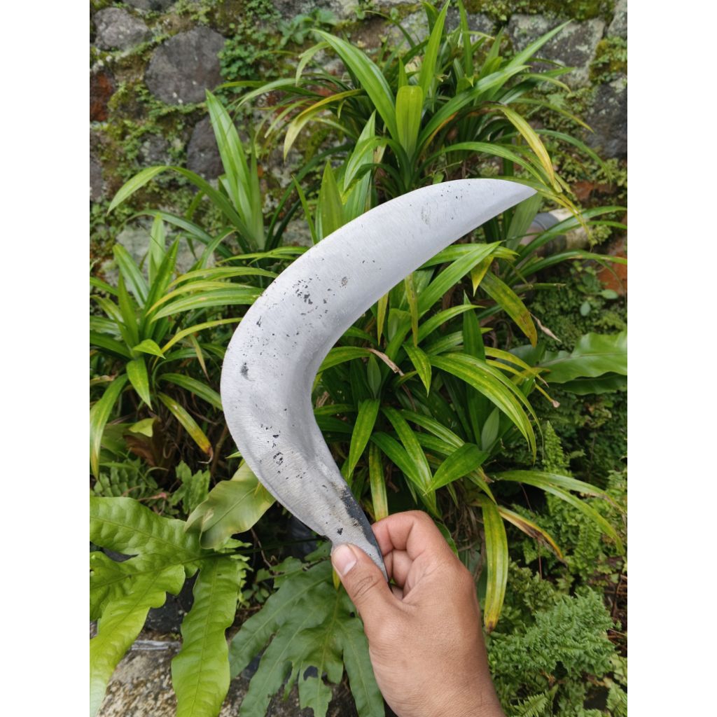 alat tani sabit pengaritan rumput sudah Asahan siap pakai baja isen