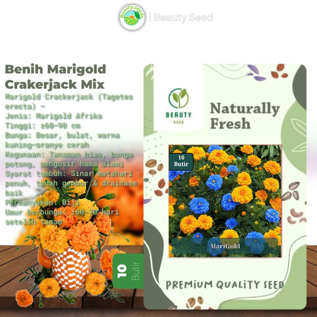 10 Benih Biji Bunga Marigold Crakerjak - Benih Premium Marigold Crakerjack - PREM MARIGOLD