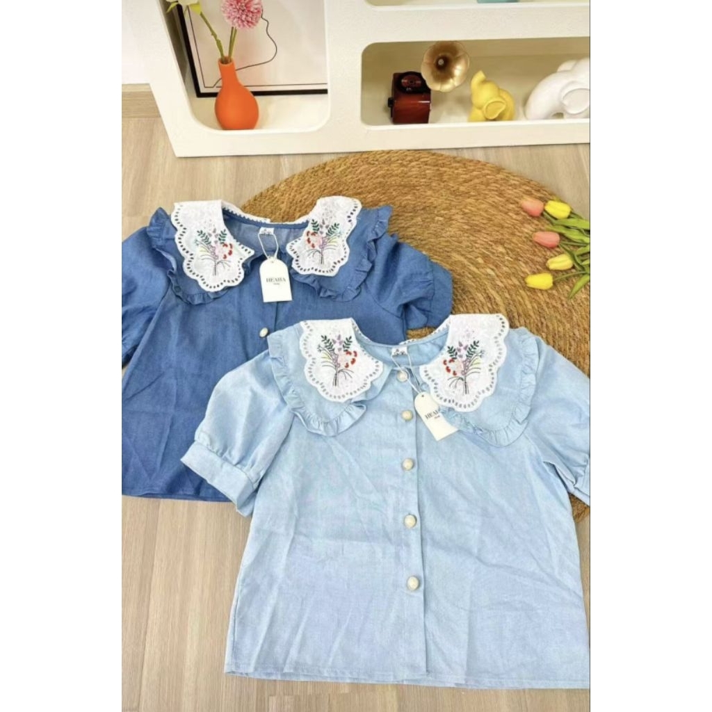 Blouse bordir kerah renda