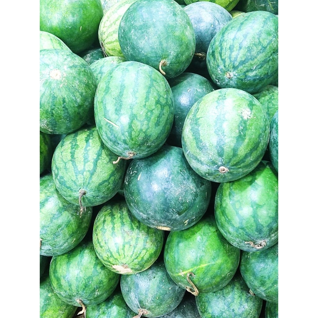 Semangka Merah 1 Buah Grade B 1,5 kg - 2 Kg