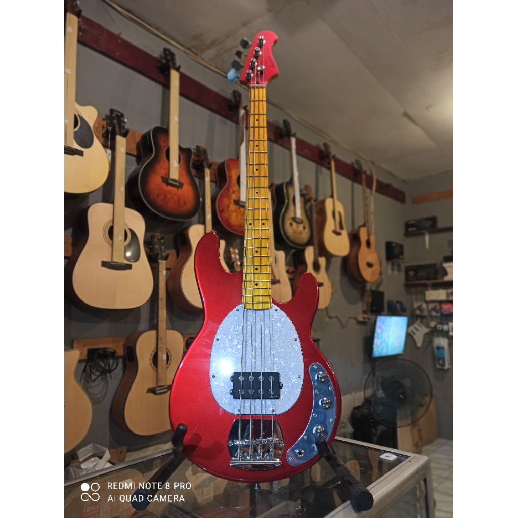 Bass Scorpion SP300 CAR Deluxe Series