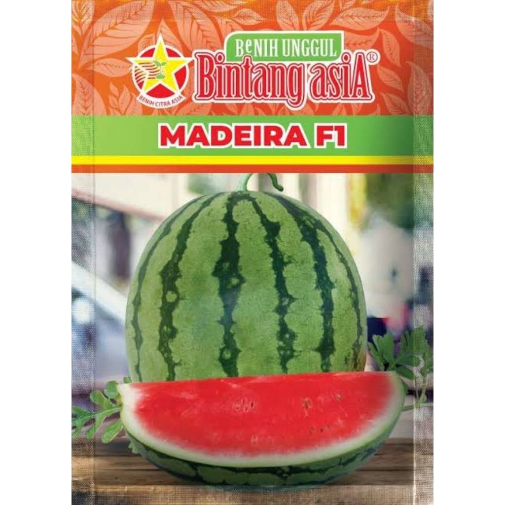 BENIH SEMANGKA BINTANG ASIA MADEIRA F1 20 gram