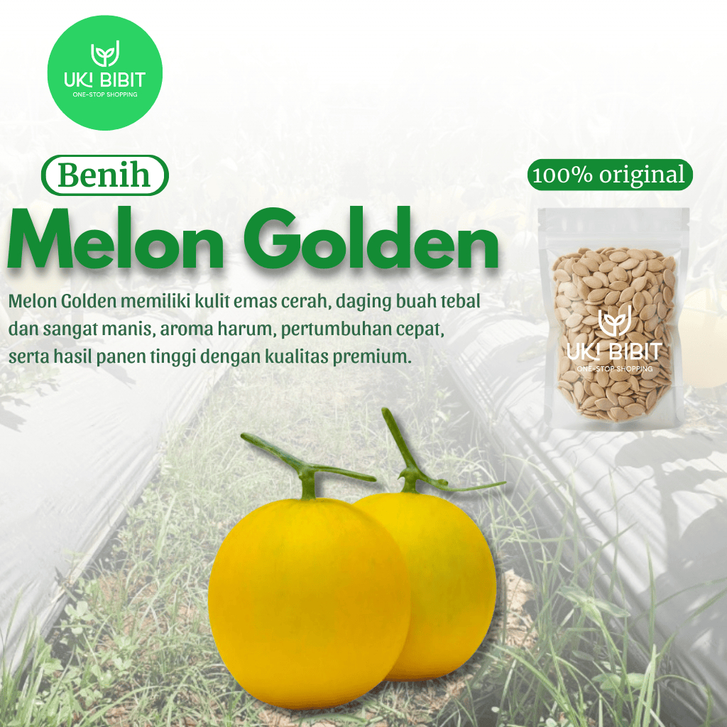 ( 5 Butir ) Benih Biji Melon Golden | Melon Emas | Melon Kuning