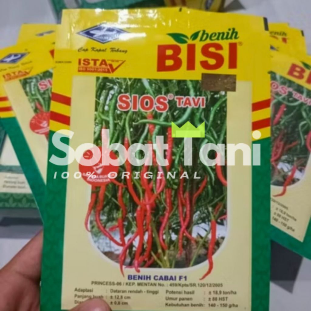 Benih Cabai Merah Keriting Sios Tavi F1 10gr ORIGINAL Bintang Asia