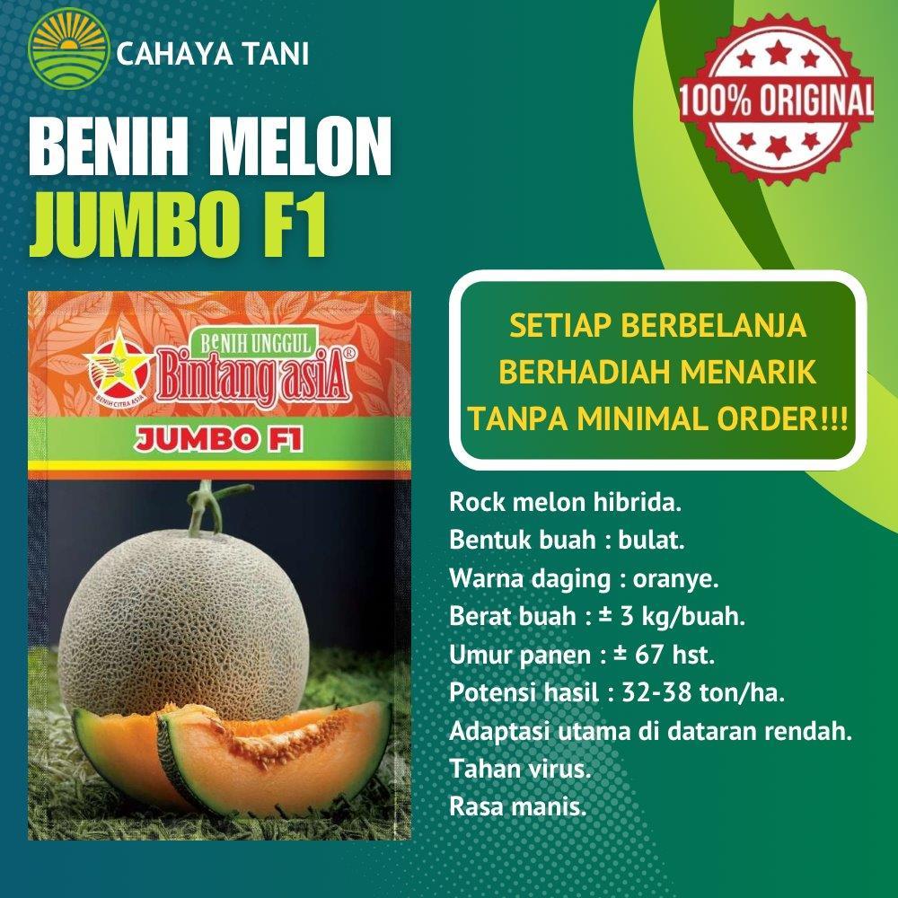 Benih Melon JUMBO F1 20gram Bintang Asia