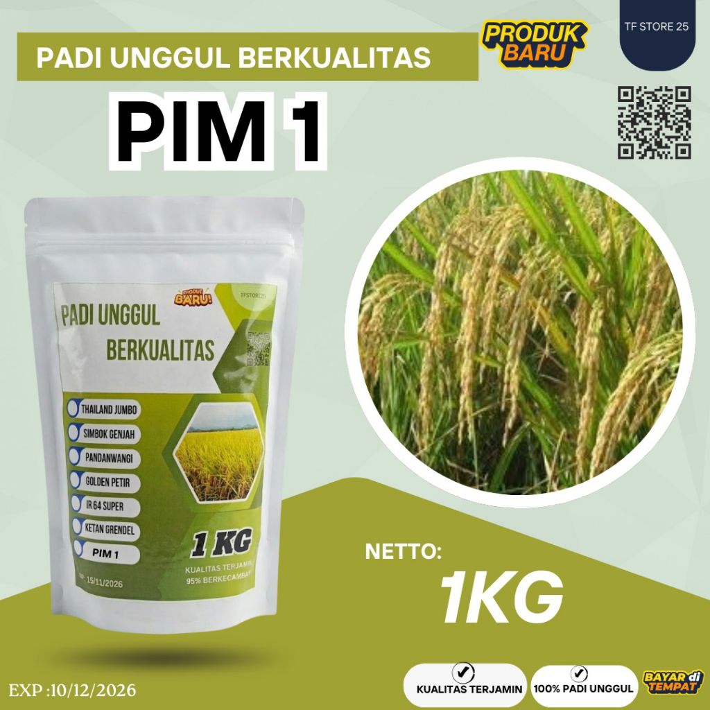 BENIH PADI PIM 1 KEMASAN 1KG 100%ASLI